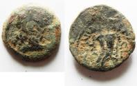 Ancient Coins - Ptolemaic Kingdom. Ptolemy IX Soter II (Lathyros). 116-106 B.C. Æ. Cyrene.