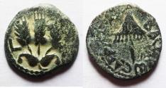 Ancient Coins - JUDAEA, Herodians. Agrippa I. 37-43 CE. AE Prutah .Jerusalem mint.