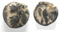 Ancient Coins - PTOLEMAIC KINGDOM. PTOLEMY I AE 13