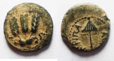 Ancient Coins - JUDAEA, Herodians. Agrippa I. 37-43 CE. AE Prutah .Jerusalem mint.