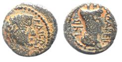 Ancient Coins - DECAPOLIS. GADARA. TIBERIUS AE 16