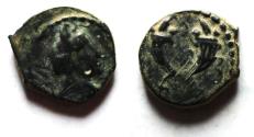 Ancient Coins - NABATAEA. Aretas IV. 9 BC- AD 40. AE