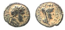 Ancient Coins - DECAPOLIS. GADARA. TITUS AE 16