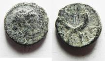 Ancient Coins - DECAPOLIS. GADARA.  Æ 12