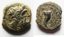 Ancient Coins - Ptolemaic Kingdom. Ptolemy IX Soter II (Lathyros). 116-106 B.C. Æ. Cyrene.