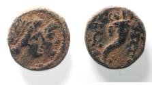 Ancient Coins - PHOENICIA, Ake-Ptolemais. 2nd century BC. AE 11