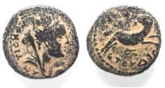 Ancient Coins - STAR OF BETHLEHEM: Seleucis and Pieria. Antioch. Pseudo-autonomous Æ 16