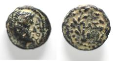 Ancient Coins - JUDAEA, Herodians. Herod IV Philip, 4 BCE-34 CE. AE (Bronze, 11 mm, 1.48 g), Caesarea Paneas (as Caesarea Philippi), RY 37 = 33/4.