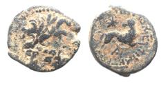 Ancient Coins - Seleucis and Pieria. Antioch Æ 20 . Star of Bethlehem depicted. 1st Century AD