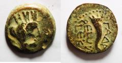 Ancient Coins - DECAPOLIS. GADARA. Autonomous issues. 1st century BC. AE 19