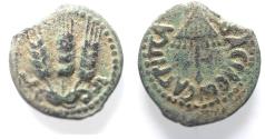 Ancient Coins - JUDAEA, Herodians. Agrippa I. 37-43 CE. AE Prutah .Jerusalem mint.
