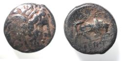 Ancient Coins - Seleukid Kingdom Seleukos I Nikator 312-281 B.C. AE 18