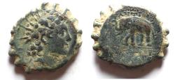 Ancient Coins - Seleukid Kings of Syria, Antiochos VI Dionysos (144-142 BC) AE 19