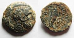 Ancient Coins - PTOLEMAIC KINGS of EGYPT. Ptolemy IX Soter II. 115-104/1 BC. Æ 20. Kyrene mint.