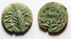 Ancient Coins - JUDAEA. PORCIUS FESTUS UNDER NERO PRUTAH
