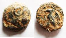 Ancient Coins - Ptolemaic Kingdom. Ptolemy VIII Euergetes II (Physcon). Second reign, 145-116 B.C. Æ. Cyrene.