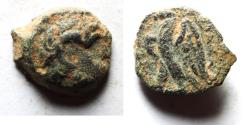 Ancient Coins - CYRENE: Ptolemaic Kingdom. Ptolemy VIII Euergetes II (Physcon). Second reign, 145-116 B.C. Æ 13
