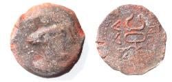 Ancient Coins - AS FOUND: DECAPOLIS. GADARA. Autonomous issues. 1st century BC. AE 22