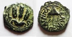 Ancient Coins - JUDAEA, Herodians. Agrippa I. 37-43 CE. AE Prutah .Jerusalem mint.