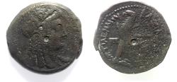 Ancient Coins - PTOLEMAIC KINGS of EGYPT. Ptolemy V or Ptolemy VI. 204-180 BC or 180-145 BC. Æ. ISIS