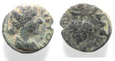 Ancient Coins - GRAPE BUNCH: DECAPOLIS. ABILA. FAUSTINA JUNIOR. AE 14.  162/163 C.E.