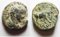 Ancient Coins - ARABIA. PETRA. ELAGABALUS AE 20