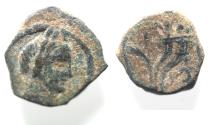 Ancient Coins - Nabataean Kingdom. PHASAEL. ARETAS IV's SON AE 13