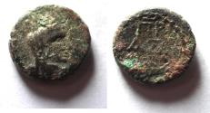 Ancient Coins - JUDAEA, Ascalon. Pseudo-autonomous issue. temp. Vespasian, AD 69-79. Æ 15. Dated CY 180 (AD 76/7)
