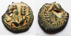 Ancient Coins - JUDAEA, Herodians. Agrippa I. 37-43 CE. AE Prutah .Jerusalem mint.