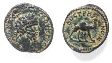 Ancient Coins - Apparently unpublished:: Arabia. Bostra under Septimius Severus (AD 193-211). AE 17mm, 1.74g.