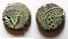 Ancient Coins - JUDAEA. Mattathias Antigonus AE 8 Prutah. 40 - 37 B.C.E.