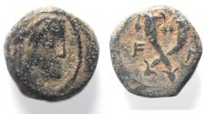 Ancient Coins - NABATAEAN . SYLLAUES , ONLY RULED SIX MONTHS. AE 15