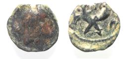 Ancient Coins - NABATAEAN . SYLLAUES , ONLY RULED SIX MONTHS. AE 15