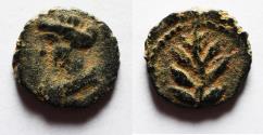 Ancient Coins - Seleucis & Pieria. Antioch. Pseudo-autonomous. AE 11