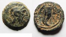 Ancient Coins - CHOICE: PTOLEMAIC KINGS of EGYPT. Ptolemy IX Soter II. 115-104/1 BC. Æ 20mm. Kyrene mint.