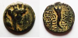 Ancient Coins - DECAPOLIS. GADARA. Autonomous issues. 1st century BC. AE 18
