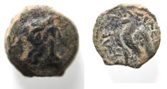 Ancient Coins - CYRENE: Ptolemaic Kingdom. Ptolemy VIII Euergetes II (Physcon). Second reign, 145-116 B.C. Æ 11