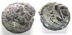 Ancient Coins - AS FOUND: DECAPOLIS. GADARA. TITUS AE 16