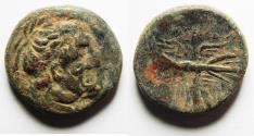 Ancient Coins - PTOLEMAIC KINGS of EGYPT. Ptolemy II Philadelphos. Æ 22. Struck under Magas, 277-261 BC