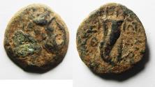 Ancient Coins - PTOLEMAIC KINGS of EGYPT. Ptolemy IX Soter II. 115-104/1 BC. Æ 18mm. Kyrene mint.