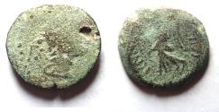 Ancient Coins - Decapolis. Nysa-Scythopolis under Aulus Gabinius (proconsul, 57-55 BC). AE20