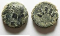 Ancient Coins - Decapolis. Philadelphia. Pseudo-autonomous issue. temp. Titus, AD 79-81. Æ 19. Dated CY 143 (AD 80/1).