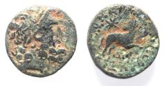 Ancient Coins - Seleucis and Pieria. Antioch Æ 20 . Star of Bethlehem depicted. 1st Century AD