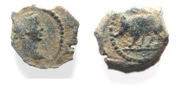 Ancient Coins - EGYPT. ALEXANDRIA. TRAJAN AE DICHALKON. RHINO