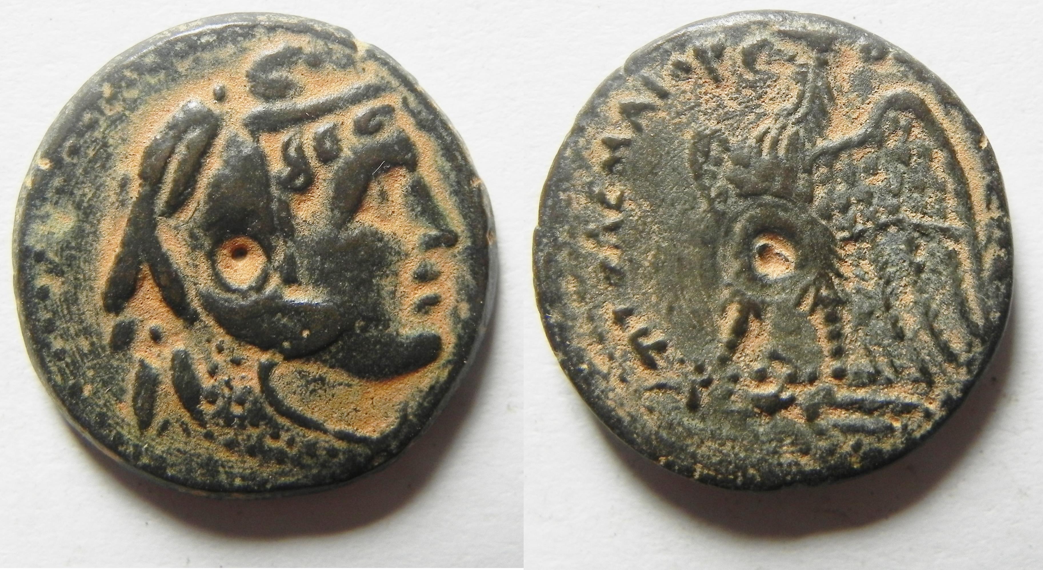 PTOLEMAIC KINGS of EGYPT. Ptolemy II. 285246 BC. AE 20 . Alexandria