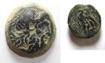 Ancient Coins - PTOLEMAIC EMPIRE. PTOLEMY VI 180-145 BC. AE 19