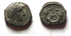 Ancient Coins - NABATAEA. Aretas IV.. 9 BC- AD 40. AE 13