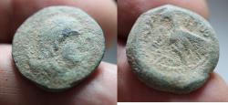 Ancient Coins - AS FOUND: Nabataean Kingdom. Malichus I (60-30 BC) AE 20 . Petra mint. Struck in regnal year 28 (32/1 BC).