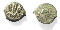 Ancient Coins - JUDAEA, Herodians. Agrippa I. 37-43 CE. AE Prutah .Jerusalem mint.