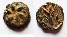 Ancient Coins - Judaea. Caesarea Maritima. First century AD. AE minima (10mm, 0.44g). Branch/ Star. Apparently unpublished.